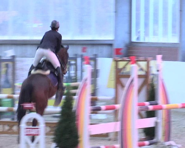 Reitturnier Greven 2017
