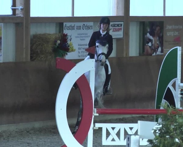 Reitturnier Dettingen 2017