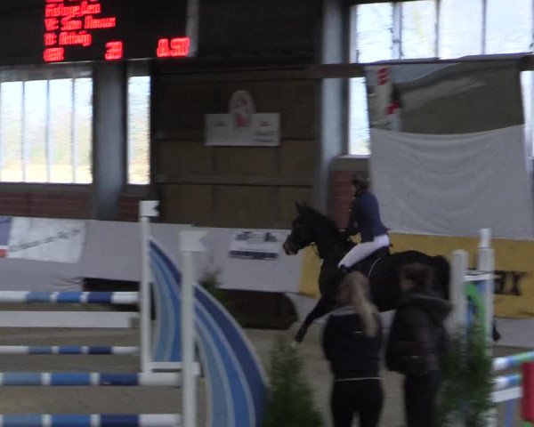 Reitturnier Greven 2017