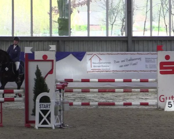 Reitturnier Greven 2017