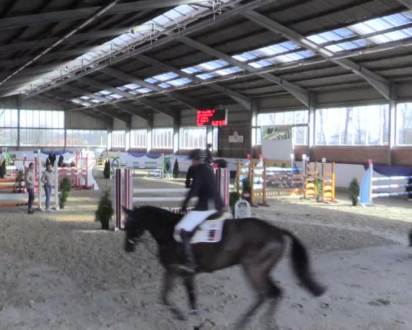 Reitturnier Greven 2017
