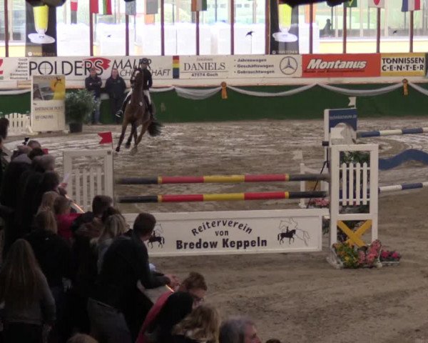 Reitturnier Keppeln  - Reitanlage "Hötzenhof" 2017