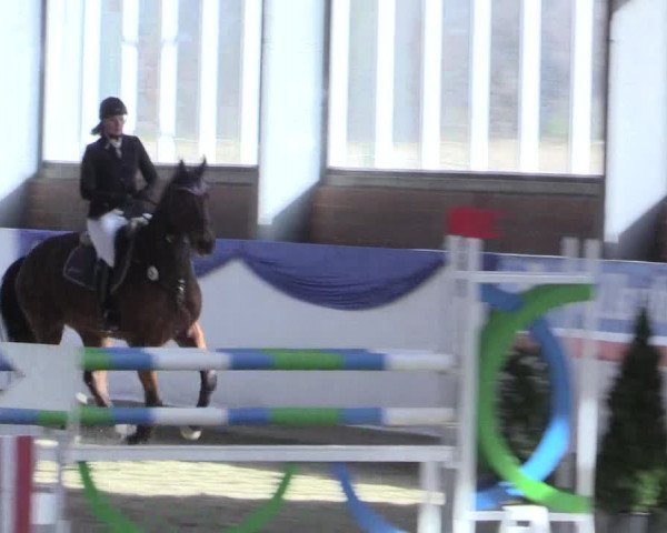 Reitturnier Greven 2017