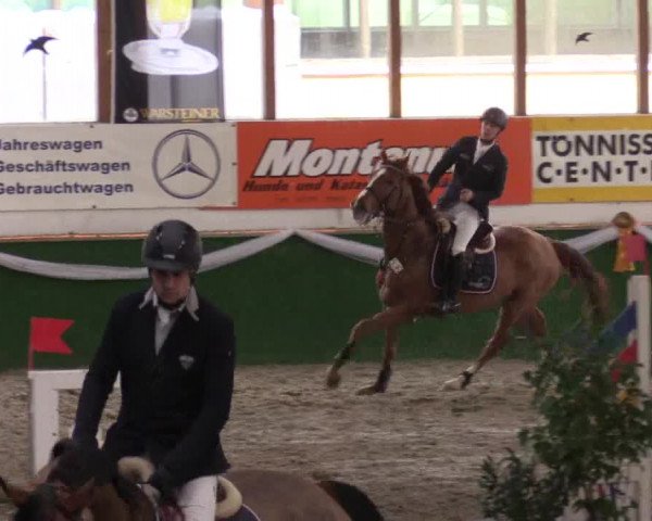 Reitturnier Keppeln  - Reitanlage "Hötzenhof" 2017