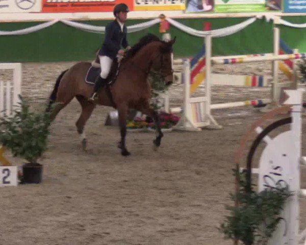 Reitturnier Keppeln  - Reitanlage "Hötzenhof" 2017
