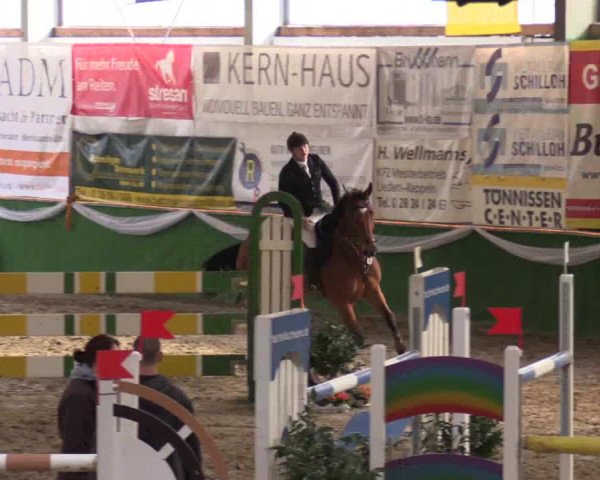 Reitturnier Keppeln  - Reitanlage "Hötzenhof" 2017