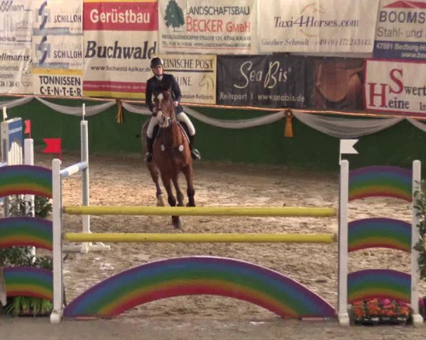 Reitturnier Keppeln  - Reitanlage "Hötzenhof" 2017