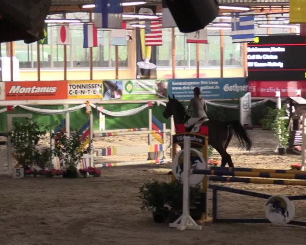 Reitturnier Keppeln  - Reitanlage "Hötzenhof" 2017