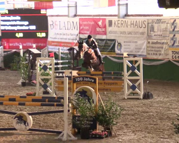 Reitturnier Keppeln  - Reitanlage "Hötzenhof" 2017