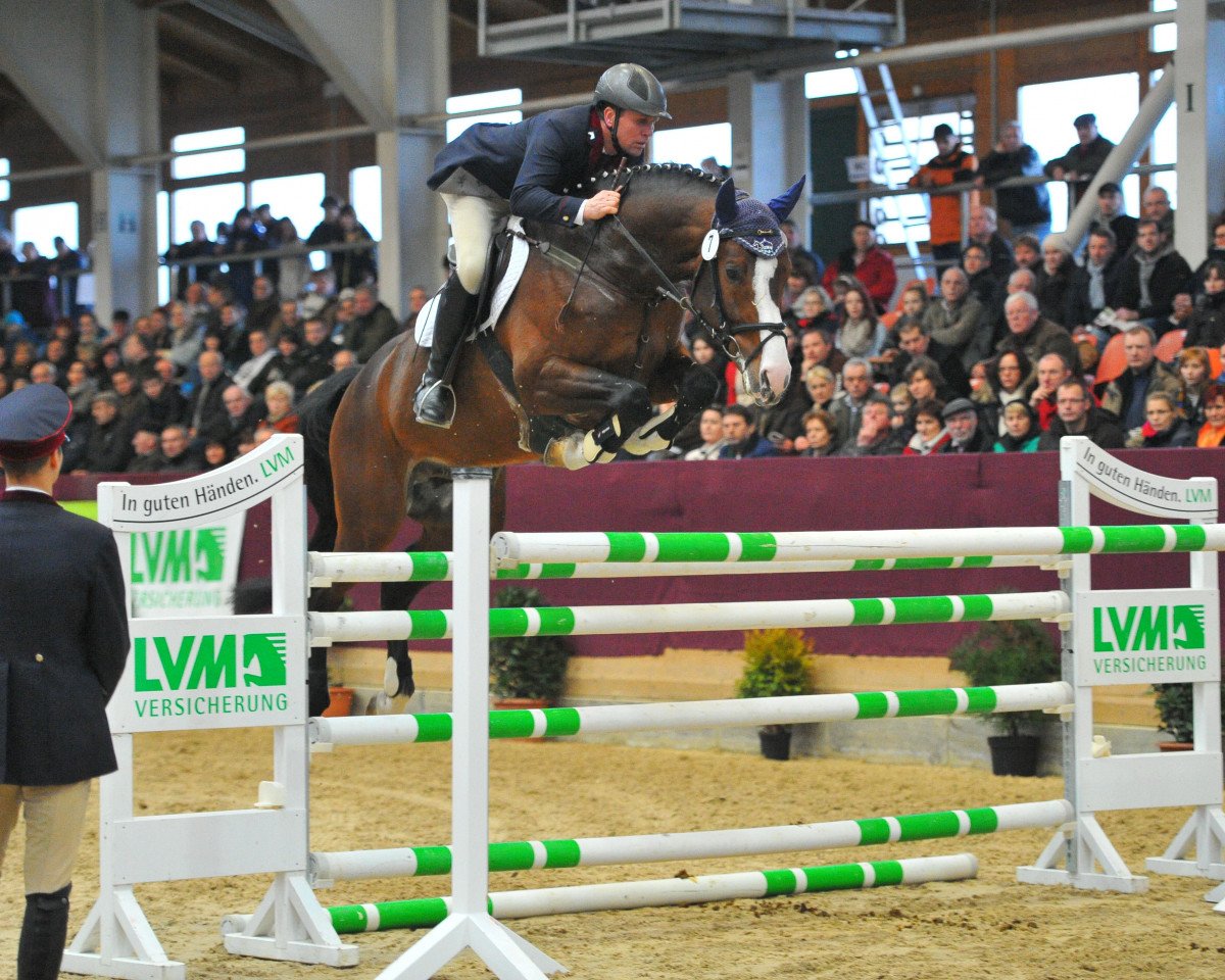 stallion Captain Olympic (Bavarian, 2009, from Captain Fire)