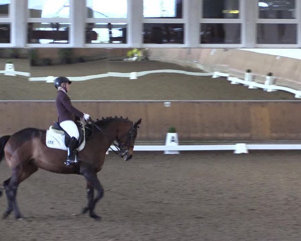 Reitturnier Freudenberg 2017