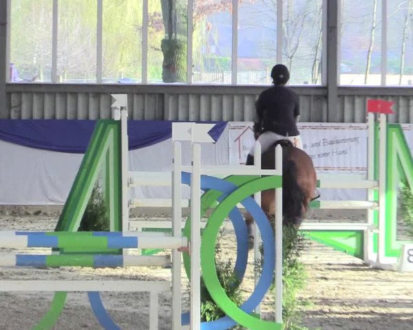Reitturnier Greven 2017