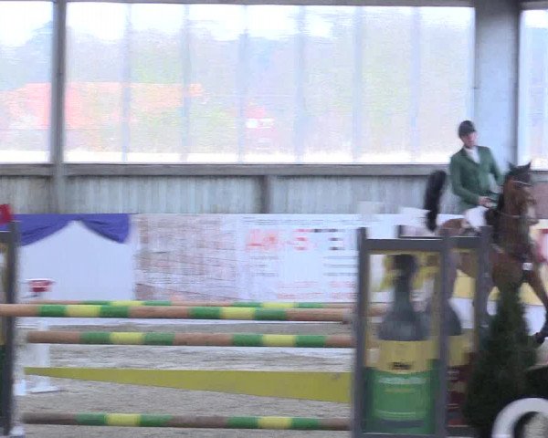 Reitturnier Greven 2017