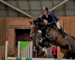 jumper Sherlock (Lithuanians Warmblood, 2012, from Shandor 34)