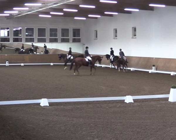 Reitturnier Freudenberg 2017