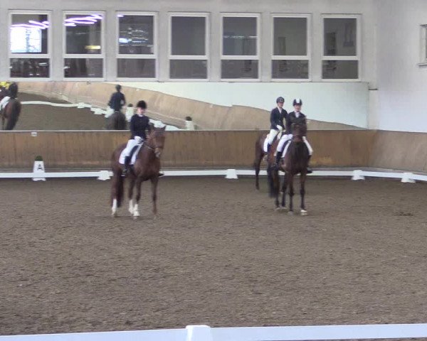 Reitturnier Freudenberg 2017