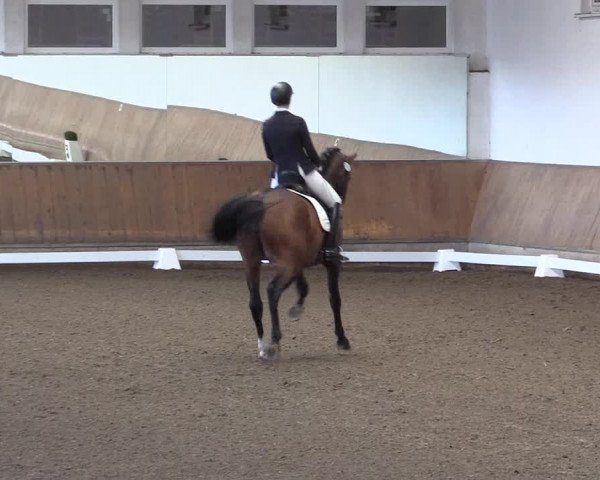Reitturnier Freudenberg 2017