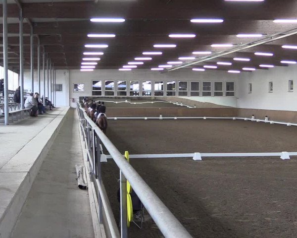 Reitturnier Freudenberg 2017