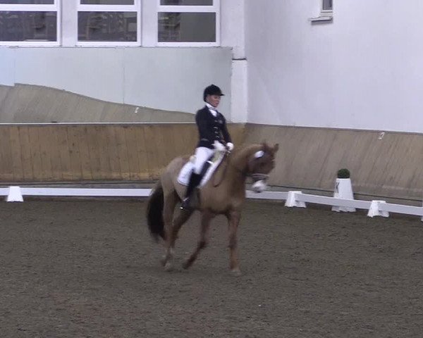 Reitturnier Freudenberg 2017