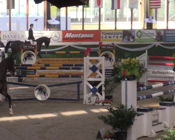 Reitturnier Keppeln  - Reitanlage "Hötzenhof" 2017