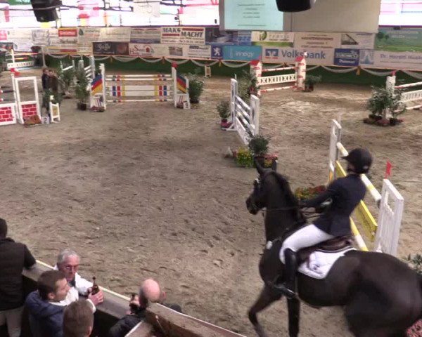 Reitturnier Keppeln  - Reitanlage "Hötzenhof" 2017