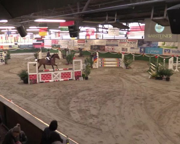 Reitturnier Keppeln  - Reitanlage "Hötzenhof" 2017