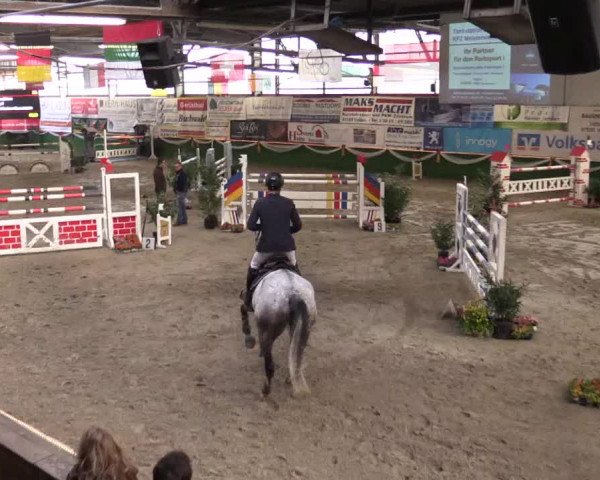 Reitturnier Keppeln  - Reitanlage "Hötzenhof" 2017