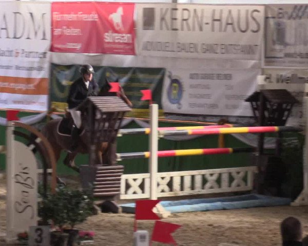 Reitturnier Keppeln  - Reitanlage "Hötzenhof" 2017