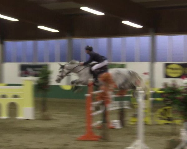 Hallenturnier Warendorf-Freckenhorst 2017