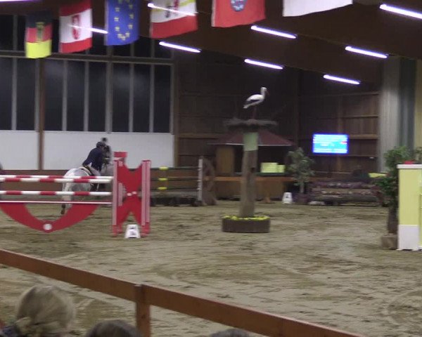 Hallenturnier Warendorf-Freckenhorst 2017