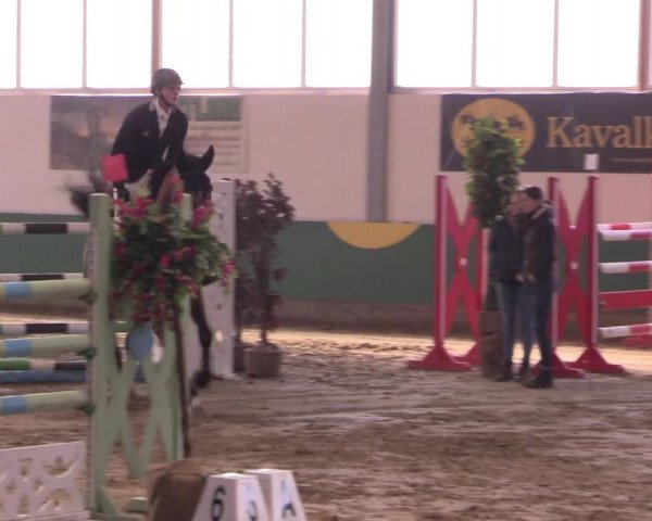 Hallenturnier Warendorf-Freckenhorst 2017