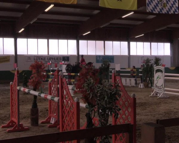 Hallenturnier Warendorf-Freckenhorst 2017