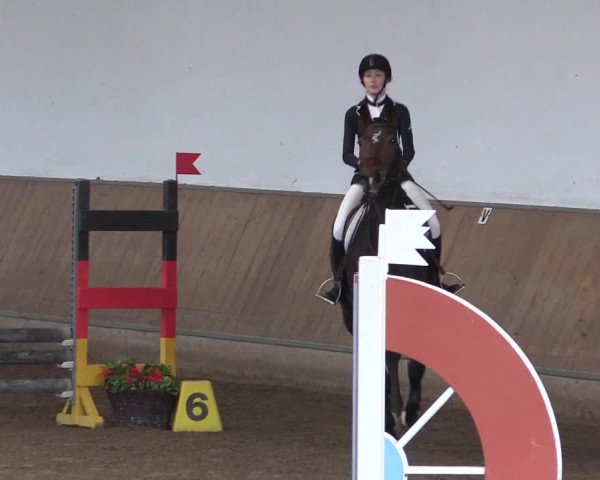Reitturnier Freudenberg 2017