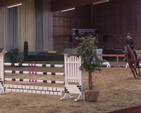 Hallenturnier Warendorf-Freckenhorst 2017