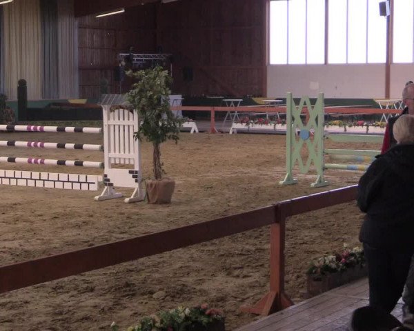 Hallenturnier Warendorf-Freckenhorst 2017