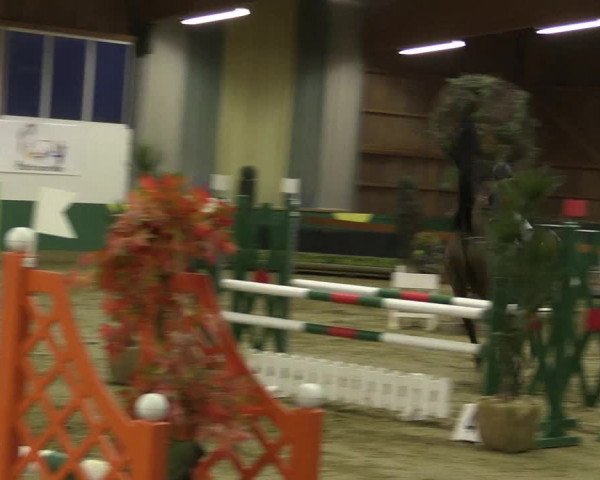 Hallenturnier Warendorf-Freckenhorst 2017