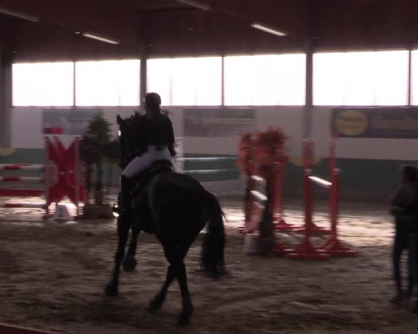 Hallenturnier Warendorf-Freckenhorst 2017