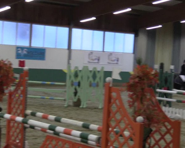 Hallenturnier Warendorf-Freckenhorst 2017