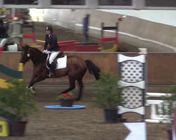 Reitturnier Freudenberg 2017