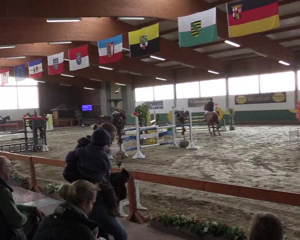 Hallenturnier Warendorf-Freckenhorst 2017