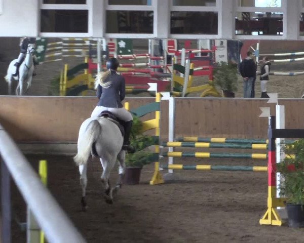 Reitturnier Freudenberg 2017