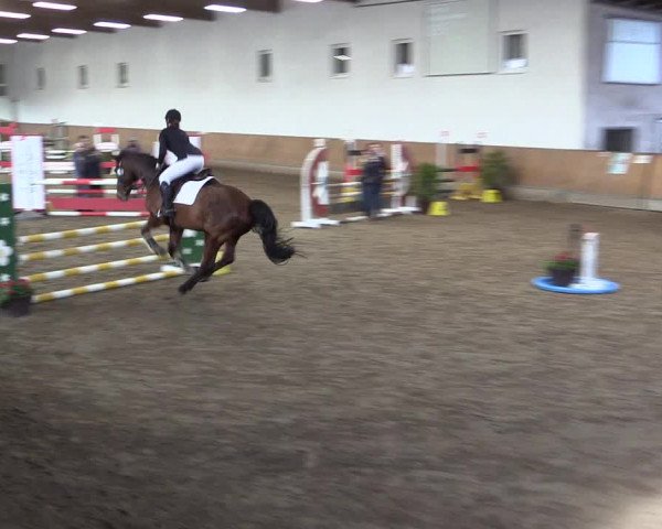 Reitturnier Freudenberg 2017
