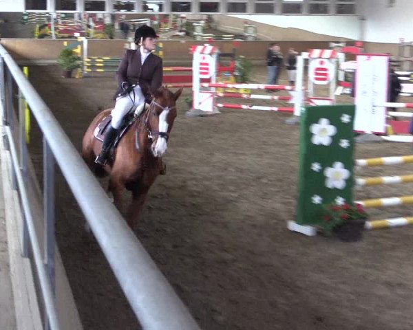 Reitturnier Freudenberg 2017