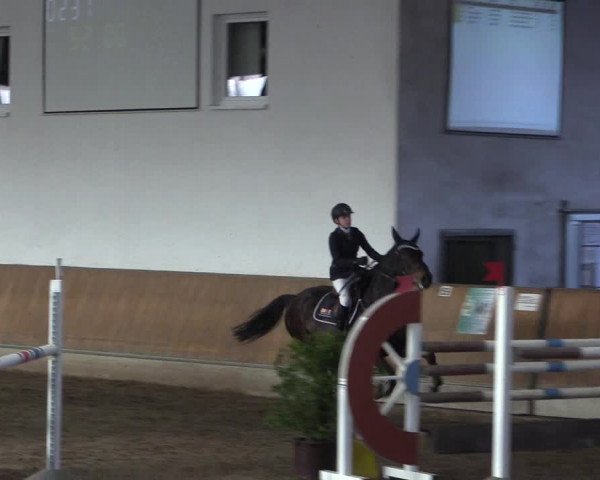 Reitturnier Freudenberg 2017