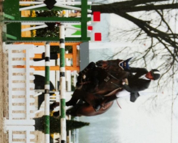 jumper Corallo ZP (Holsteiner, 1999, from Coriano)