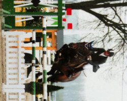 jumper Corallo ZP (Holsteiner, 1999, from Coriano)