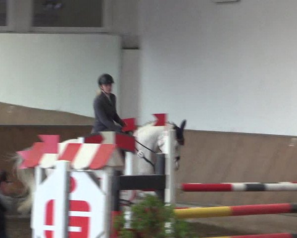 Reitturnier Freudenberg 2017