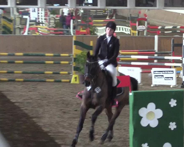 Reitturnier Freudenberg 2017