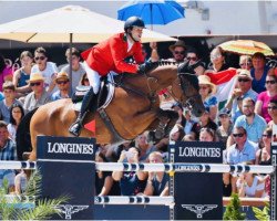 jumper GC Chopin'S Bushi (KWPN (Royal Dutch Sporthorse), 2006, from Contendro II)