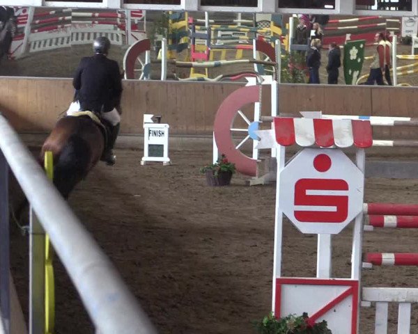 Reitturnier Freudenberg 2017